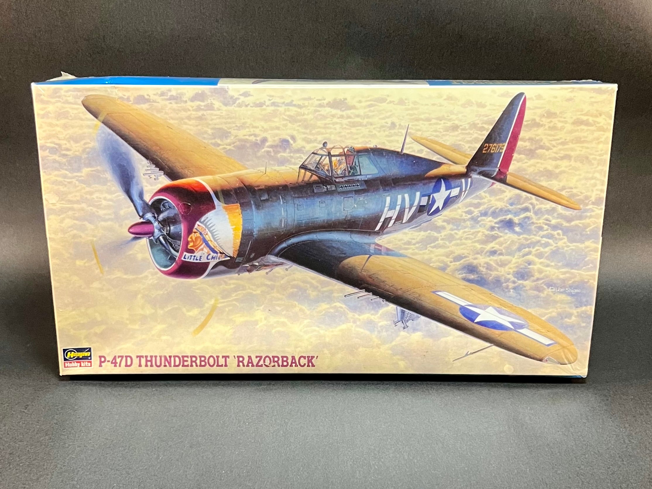 Hasegawa Model Kit JT57 1:48 Scale P-47D Thunderbolt 'Razorback ...