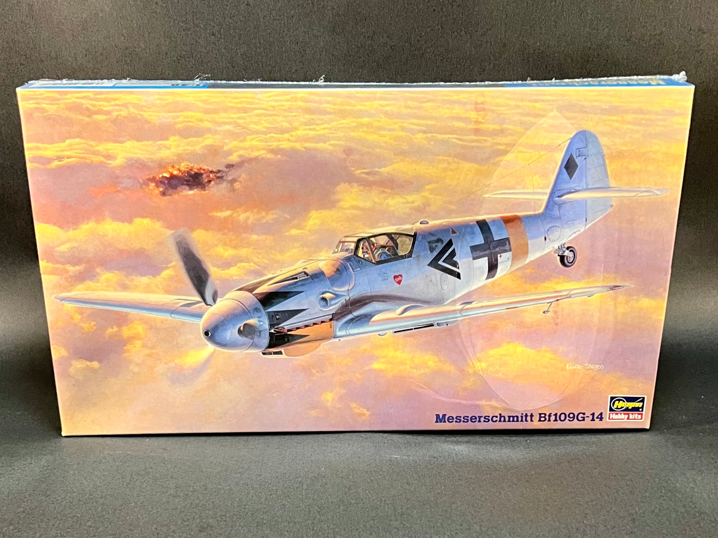 Hasegawa Model Kit JT48 1:48 Scale Messerschmitt Bf109G-14 Luftwaffe Fighter