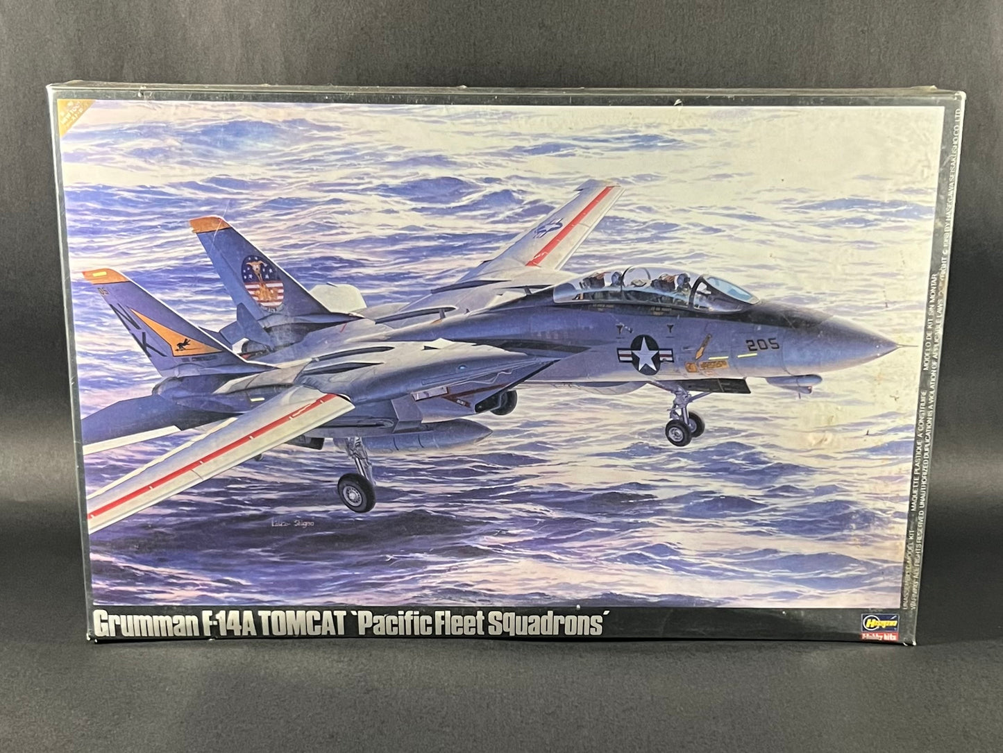 Hasegawa Model Kit P18 1:48 Scale Grumman F-14A Tomcat Pacific Fleet Squadron