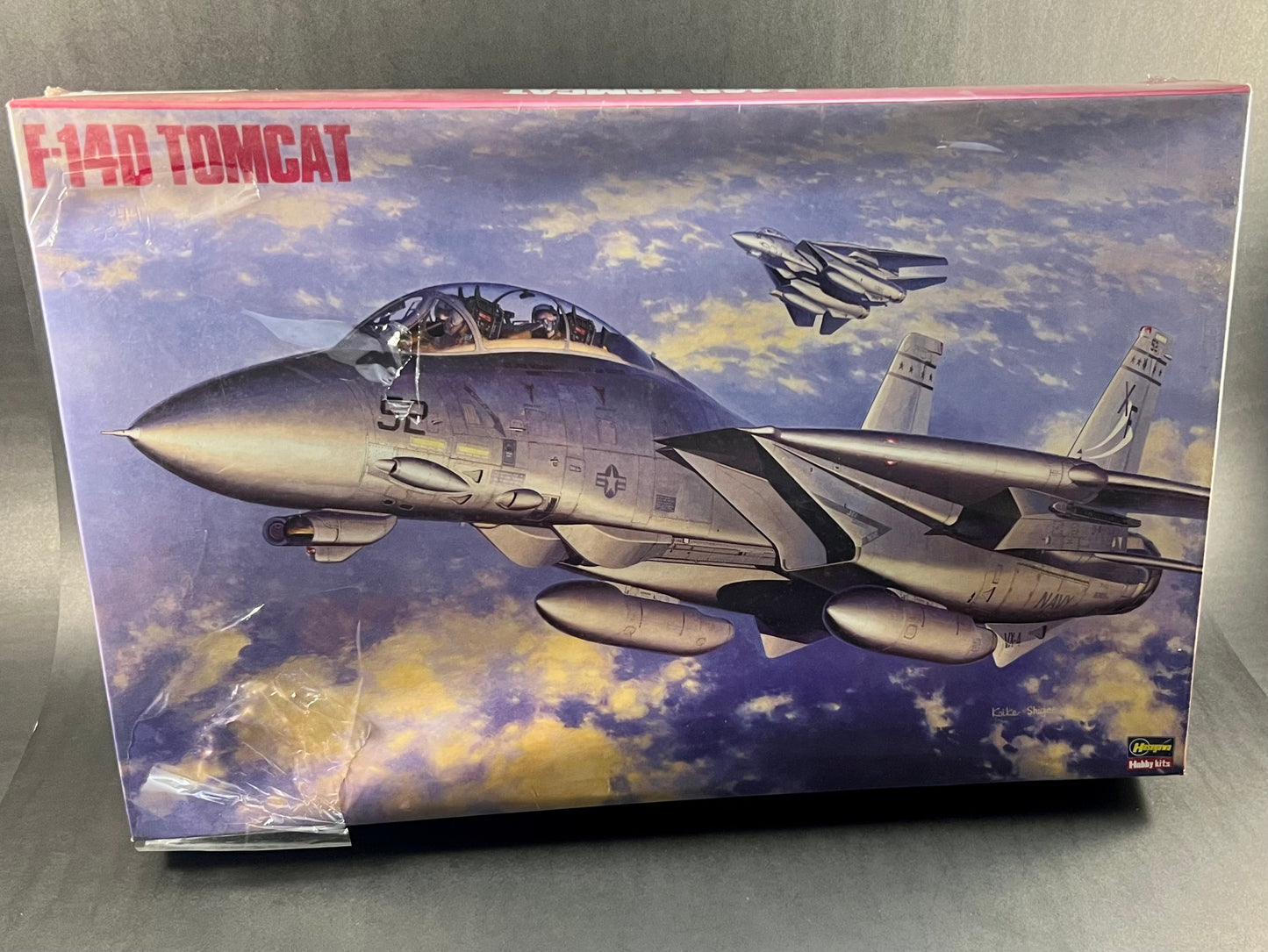 Hasegawa Model Kit SP44 1:48 Scale F-14D Tomcat