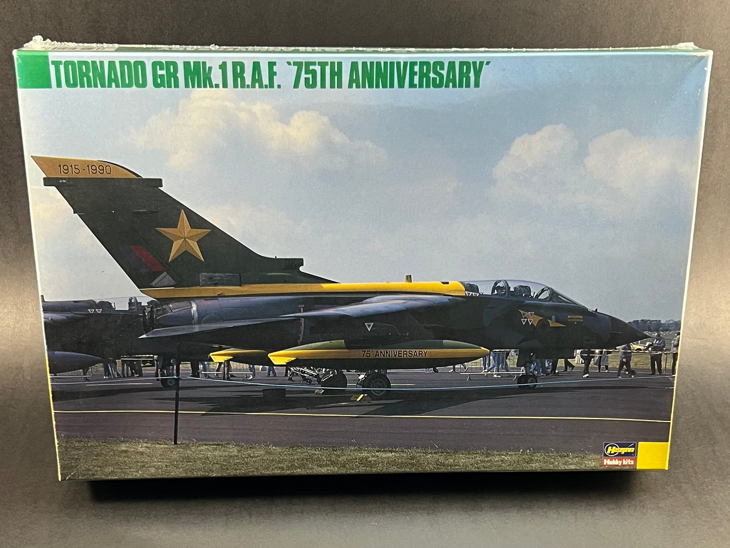 Hasegawa Model Kit SP36 1:72 Scale Tornado GR Mk.1 R.A.F. '75th Anniversary'